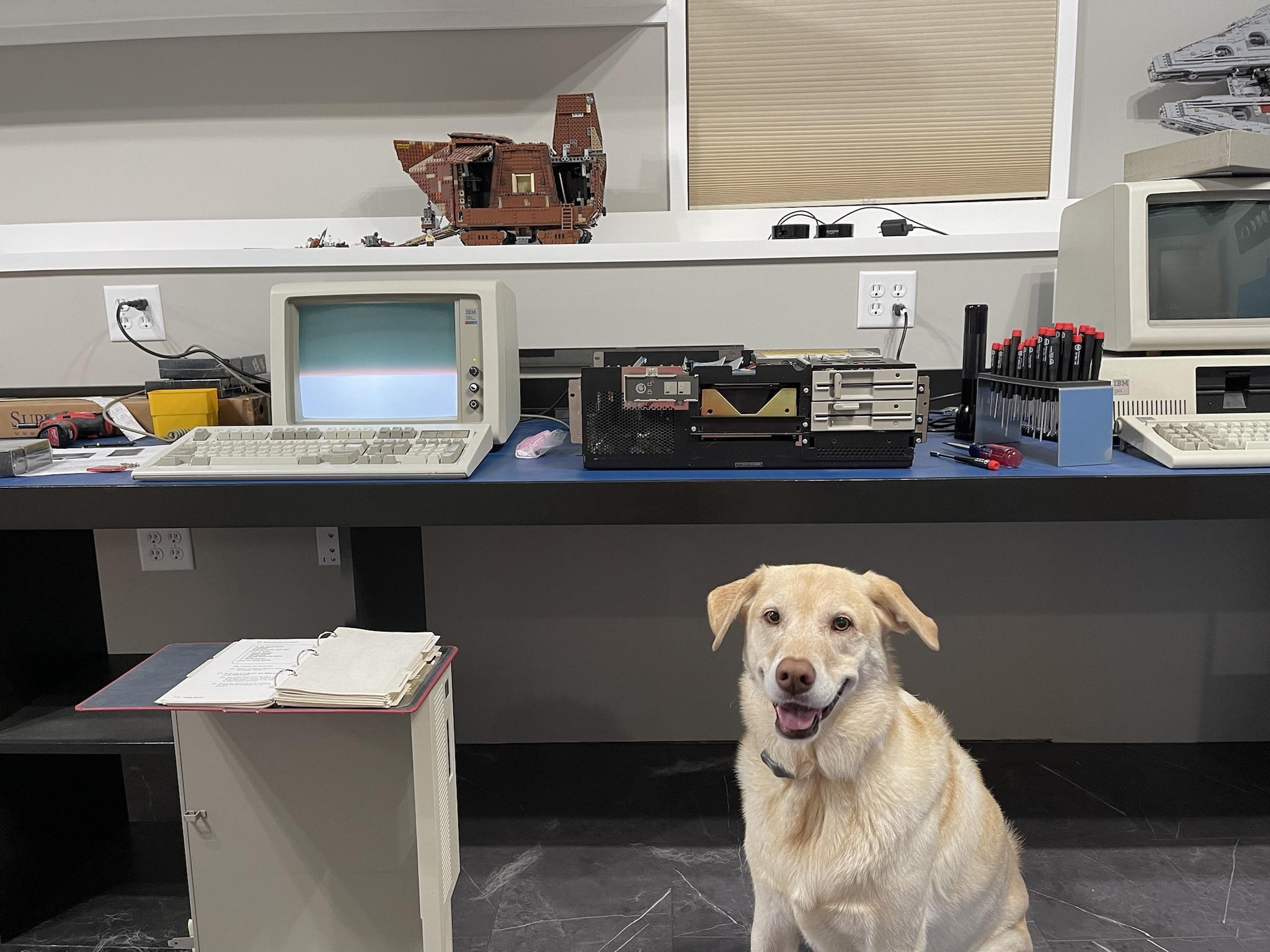 Marly working on an IBM 5170 computer