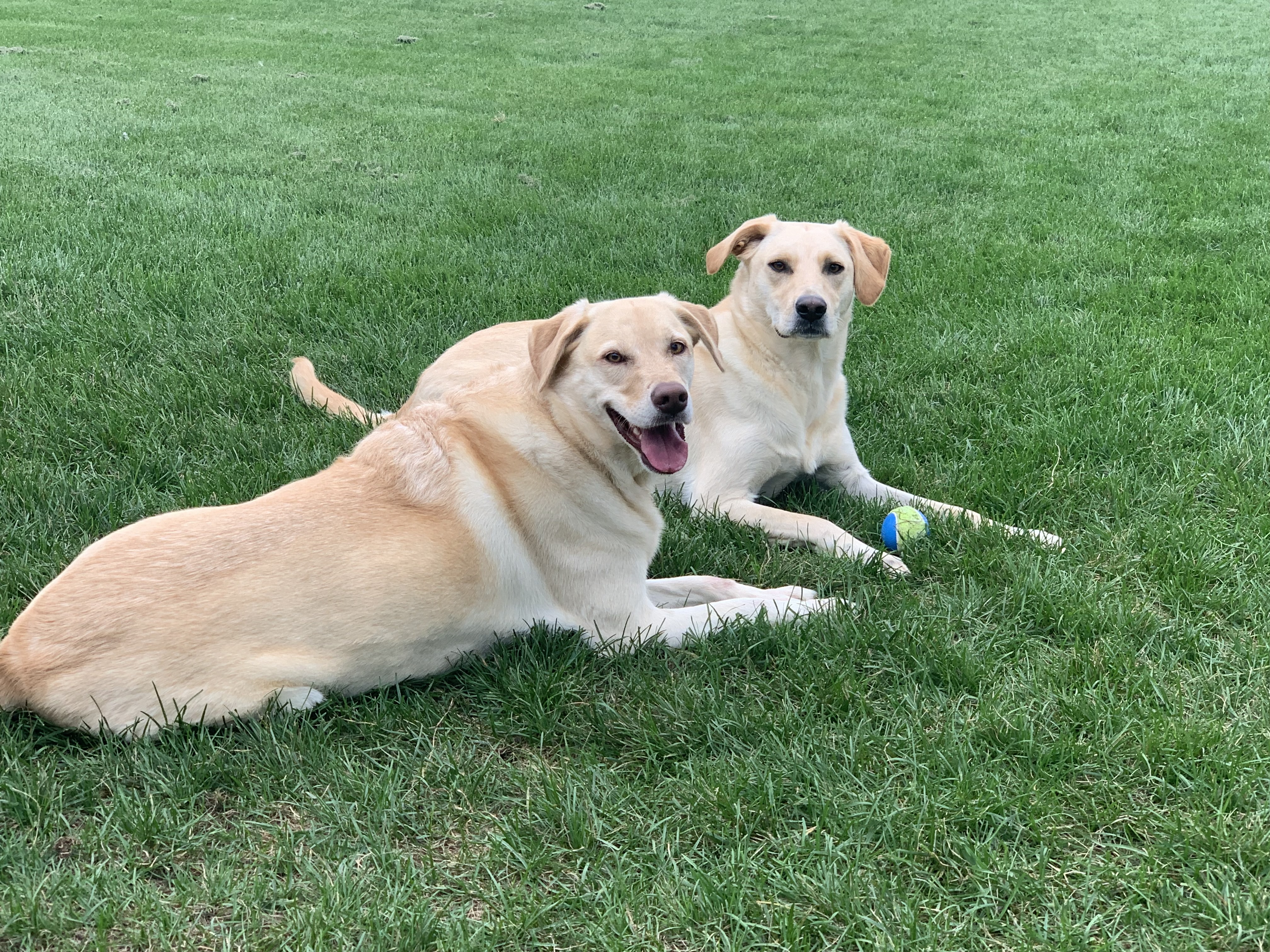 Marly with his wife